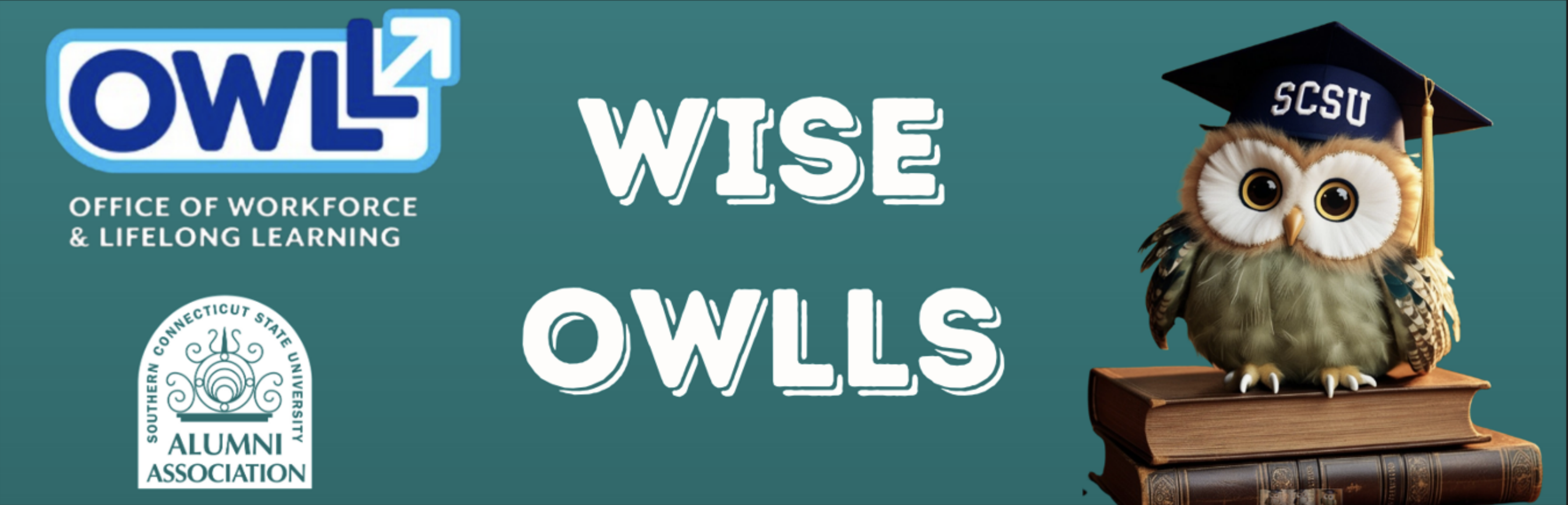 Office of Workforce and Lifelong Learning, Wise OWLLS