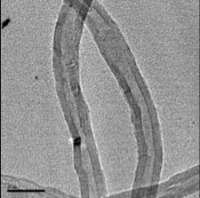 Carbon Nanotubes