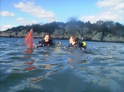 Scientists in scuba gear observing water