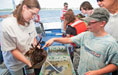 Students learning about marine life in an ocean setting