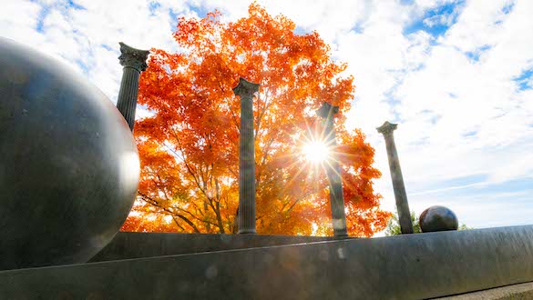 Columns design with a fall tree