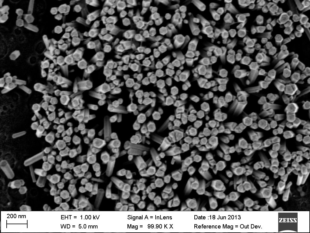 Zinc Oxide Nanowires zoomed out