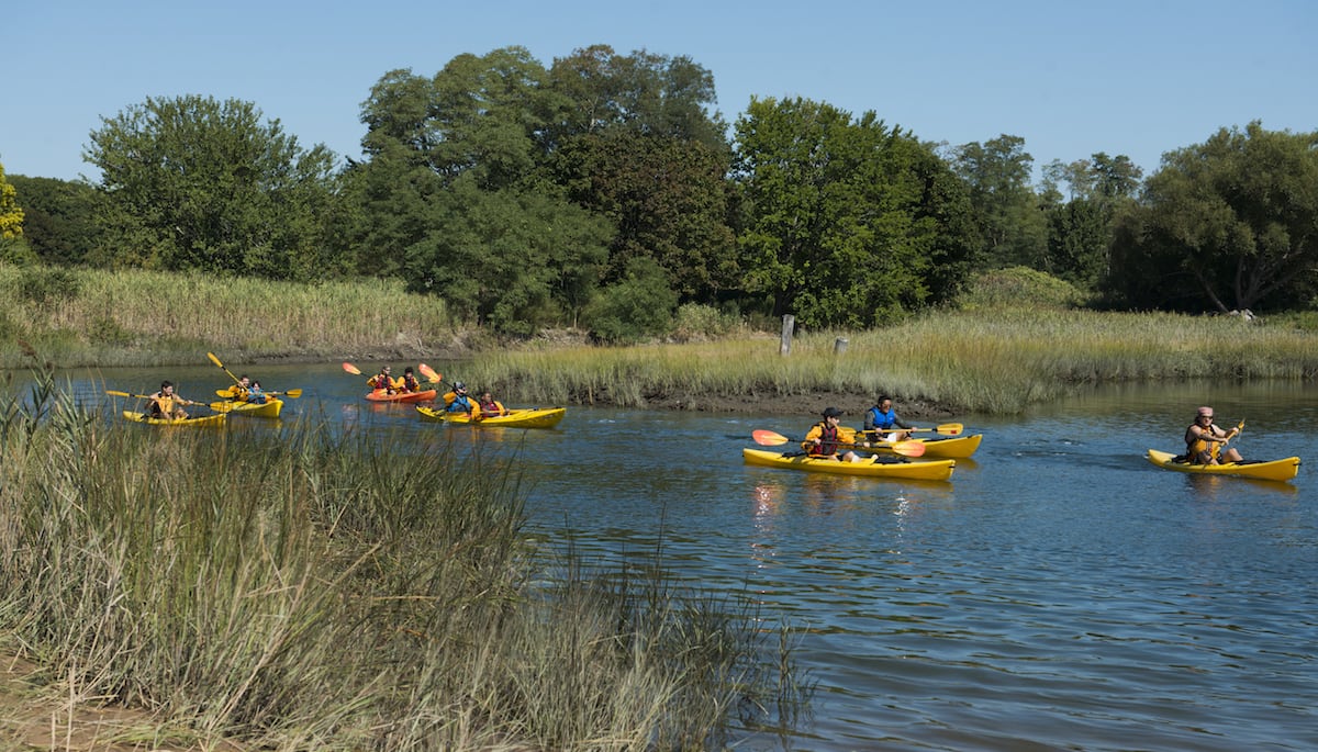 department of recreation sport and tourism