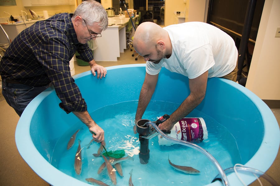 Two men working on the touch pool