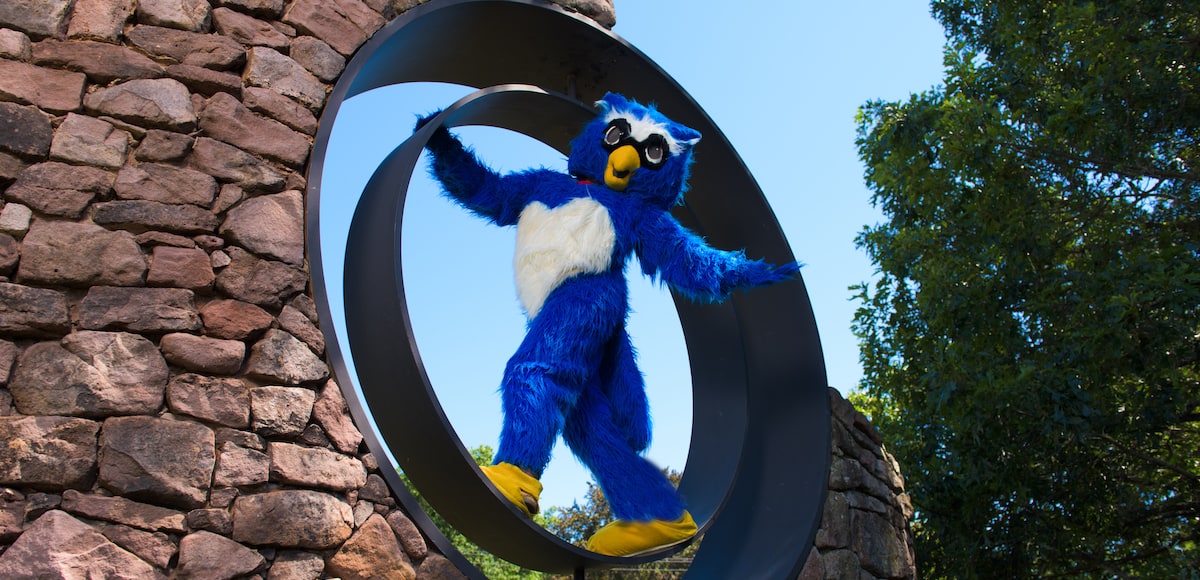 Otus the owl