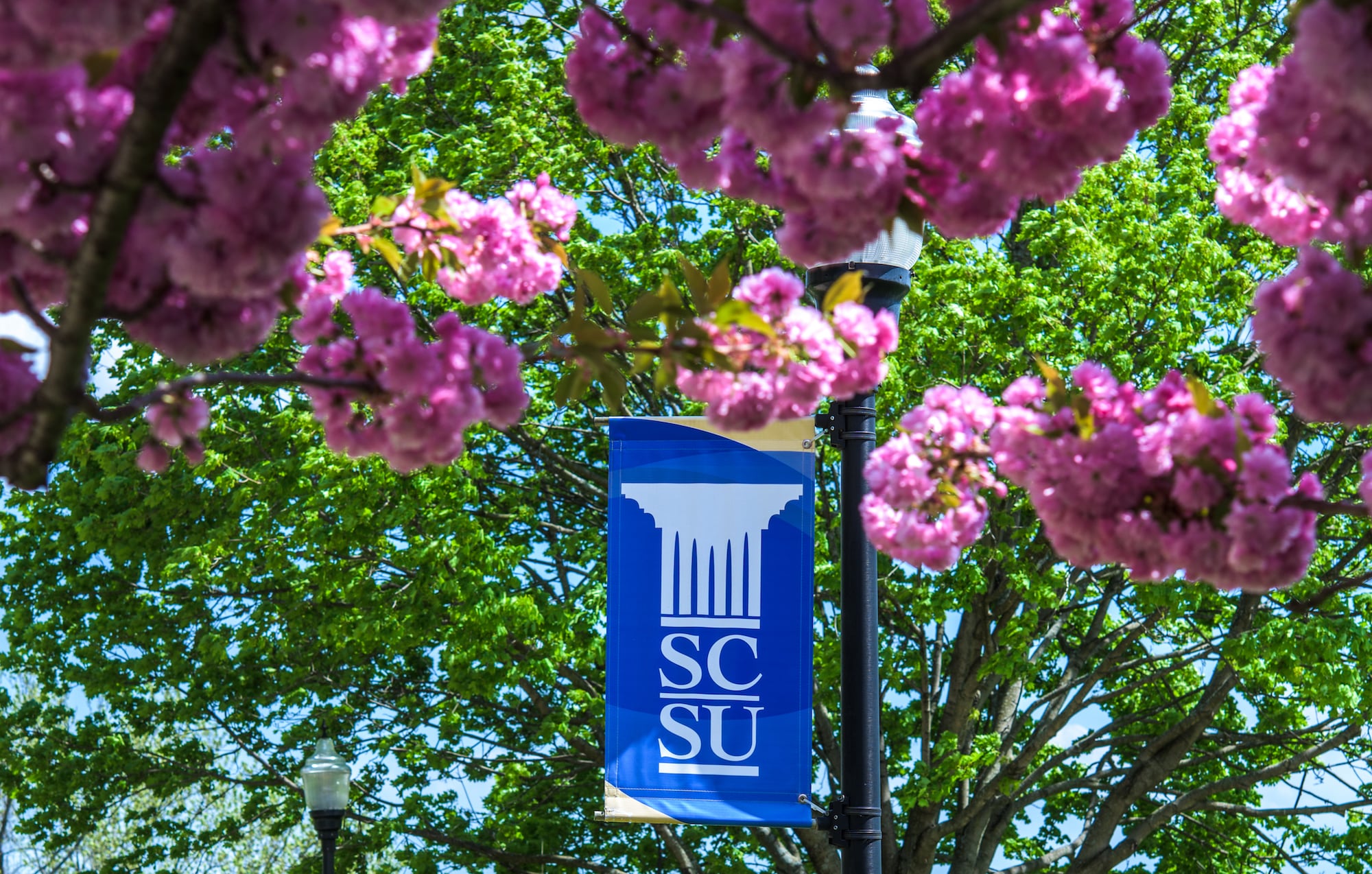 Visit Southern Southern Connecticut State University