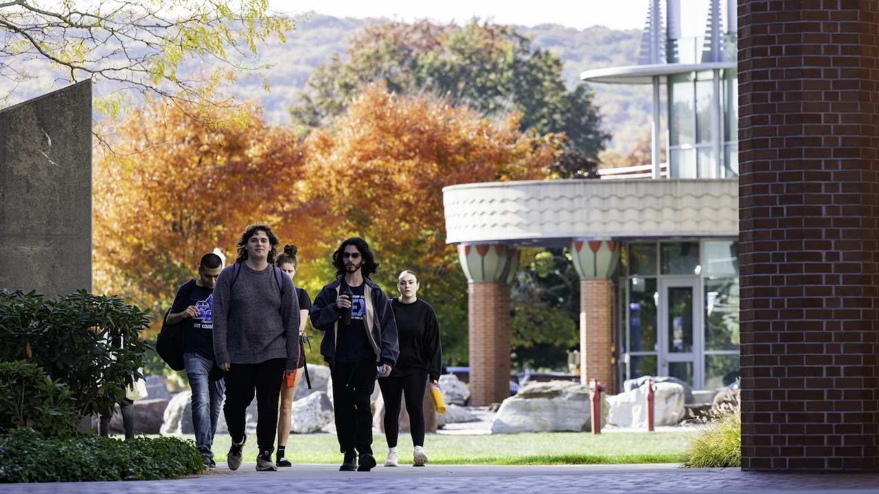 A group of students walking to their class
