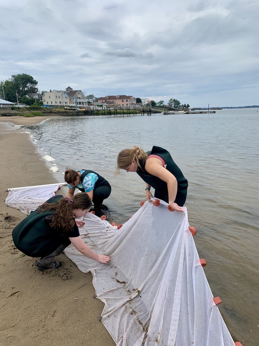 A group of student at the beach collecting and catching