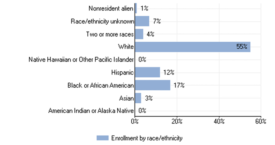 Graph of the Fall 2019 enrollment data
