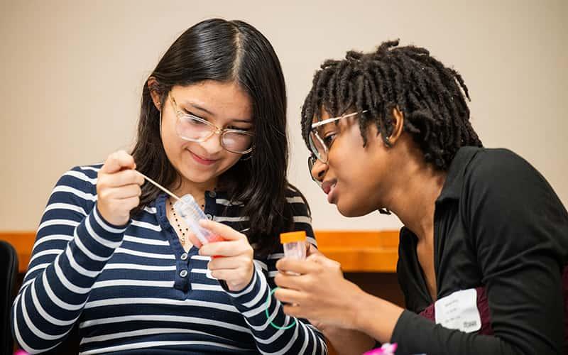 two students work on a scientific experiment together