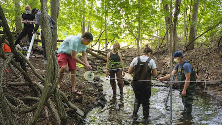 Students in the woods