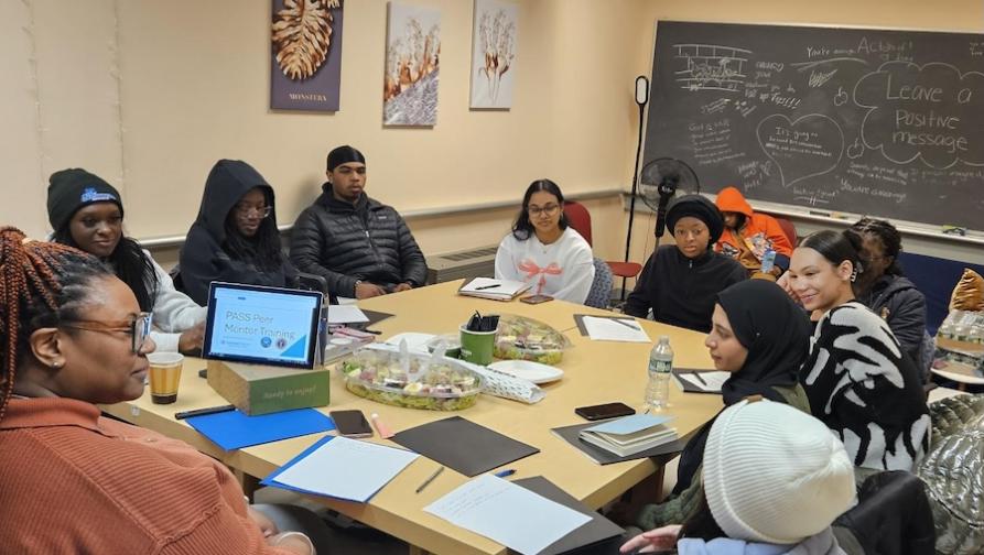 Peer mentor training