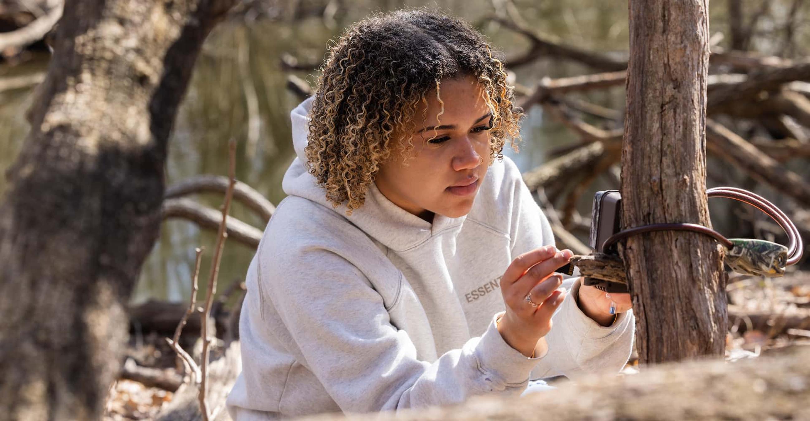 a student sets up a camera trap on a tree