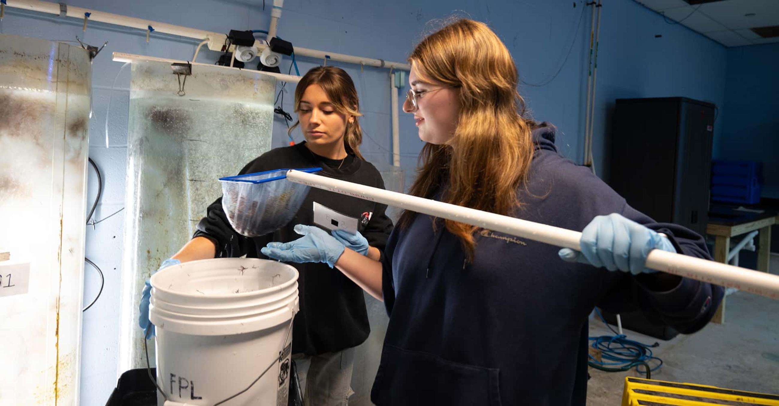 two students work in the algae lab at the Sound School