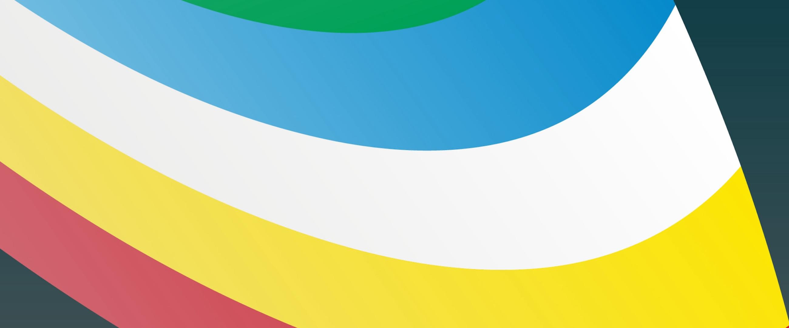 Disability flag