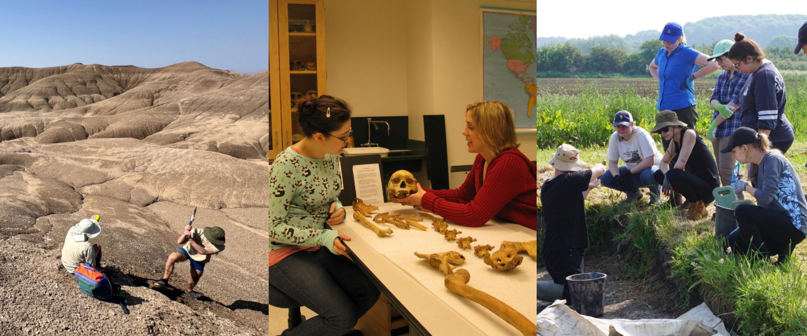 Collage of archaeological activities