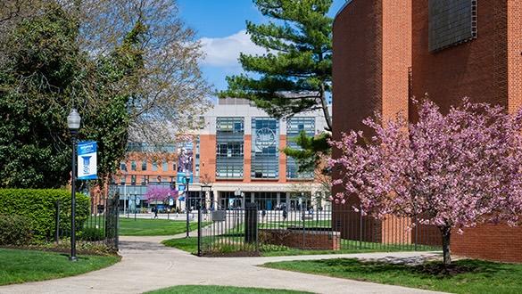 Southern CT State University overlooking the main campus