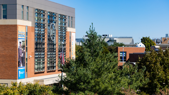 Buley library